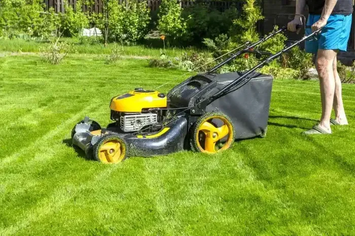 Affordable Lawn Mowing in Bellingham, WA