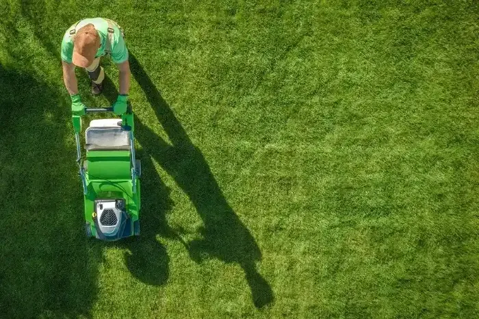 Can you mow wet grass Bellingham, WA