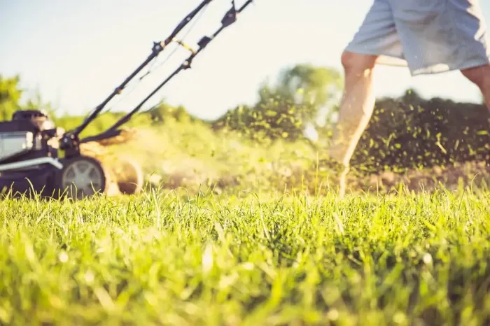 Can you mow wet grass in Bellingham, WA