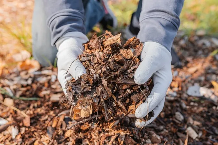 Dependable Mulching in Bellingham, WA