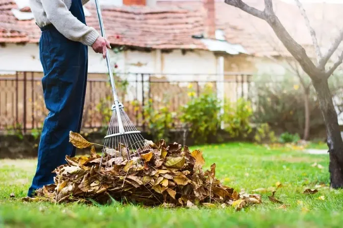 Detailed Yard Cleanup in Bellingham, WA