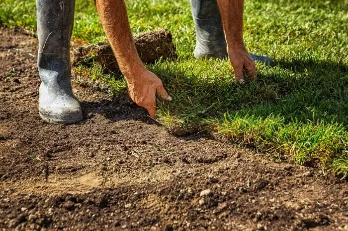 Excellent Sod Installation in Bellingham, WA