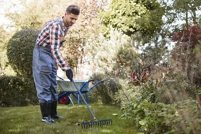 Exceptional Yard Cleanup in Bellingham, WA