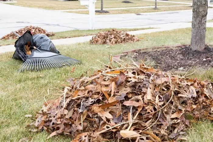 High-quality Yard Cleanup in Bellingham, WA