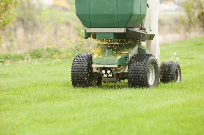 How often should you fertilize your lawn Bellingham, WA