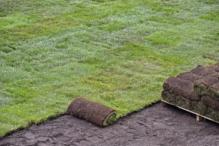 How to lay sod over existing lawn Bellingham, WA