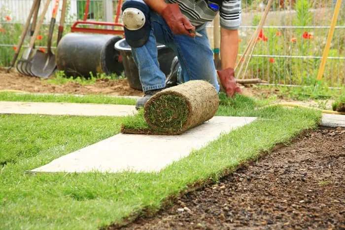 How to lay sod over existing lawn in Bellingham, WA