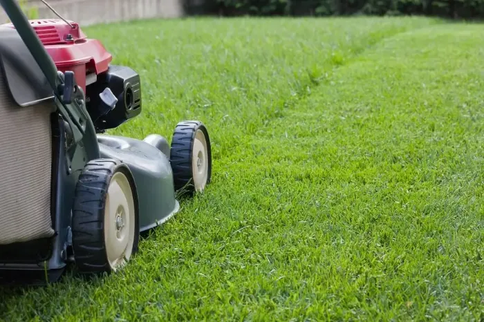 Reliable Lawn Mowing in Bellingham, WA