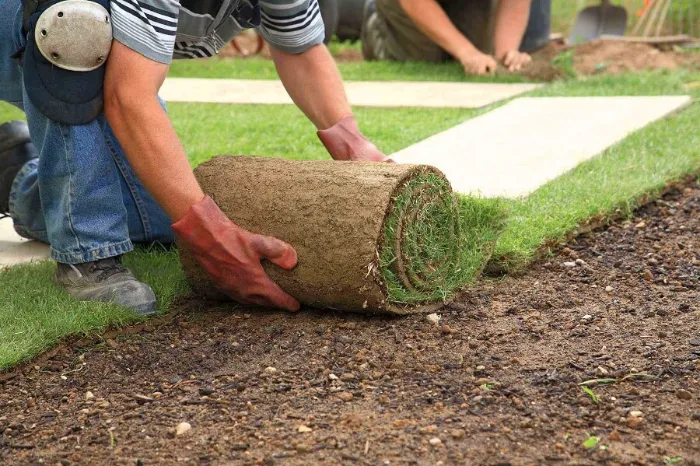 Trusted Sod Installation in Bellingham, WA