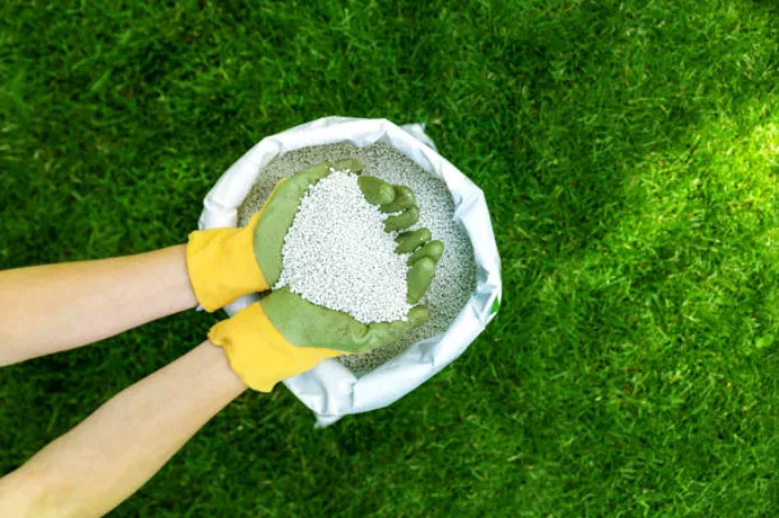 When is the best time to fertilize your lawn Bellingham, WA