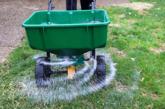 When is the best time to fertilize your lawn in Bellingham, WA